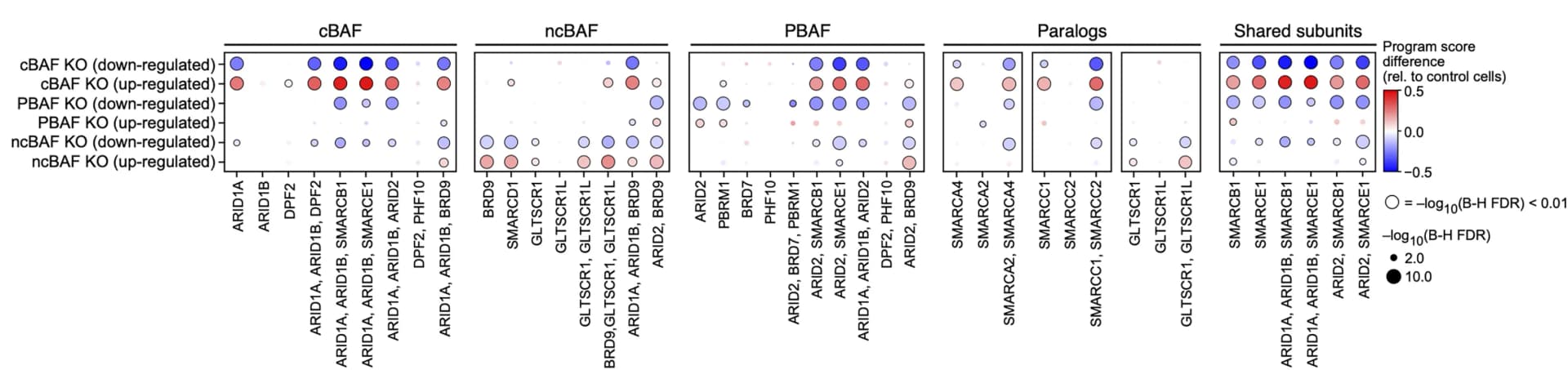 Open access visualization of Bubble Plot, Activity Scores, Control Cells, Gene Sets, Subcomplexes