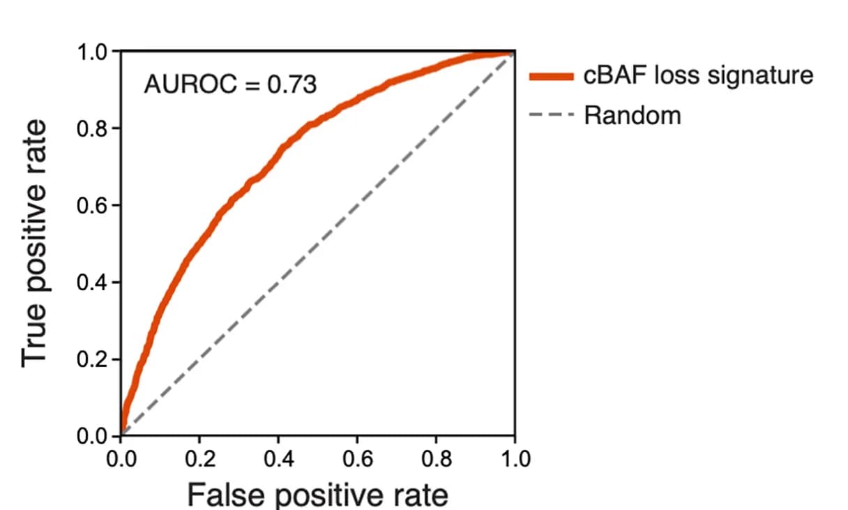 Open access visualization of Line Plot, True Positive Rate, False Positive Rate, cBAF-Mutant Tumors, TCGA Tumors