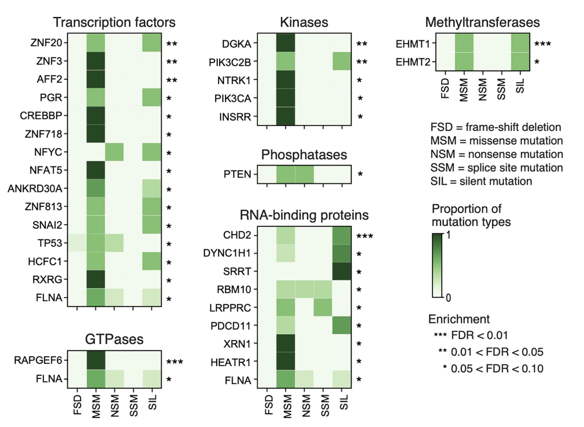 Open access visualization of Heatmap, Enrichment, Mutation Rate, Mutations, Genes