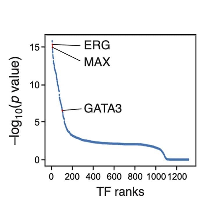 Open access visualization of Line Plot, TF Regulators, cBAF Loss, BAF Mutations, Tumors