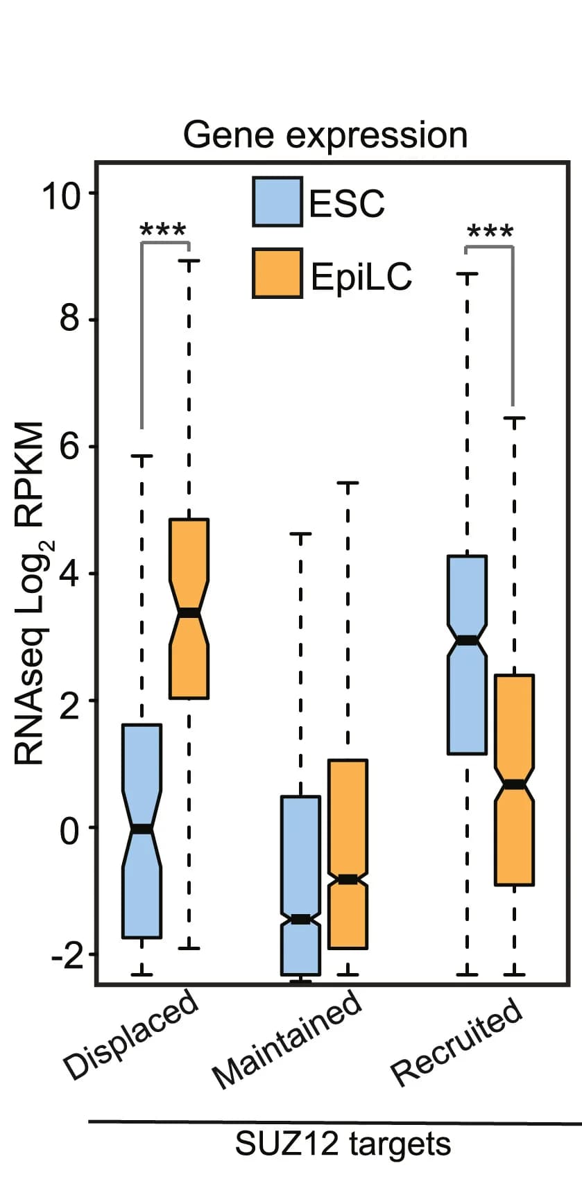 Open access visualization of Box Plot, Boxplots, mRNA Abundance, PRC2 Target Genes