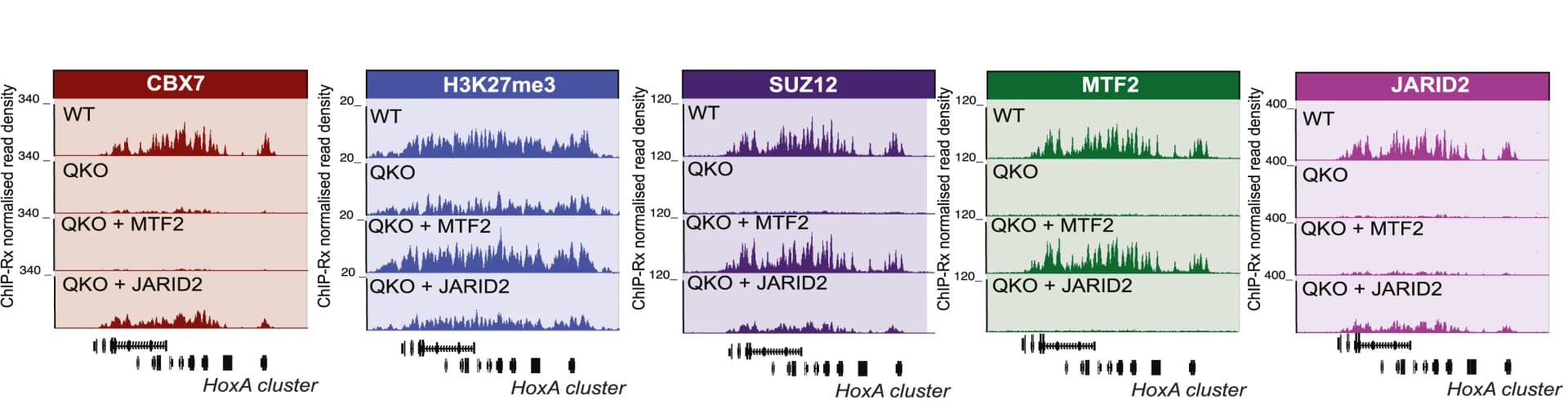 Open access visualization of Line Plot, Density Plot, Genome Browser Tracks, ChIP-Rx, Antibodies