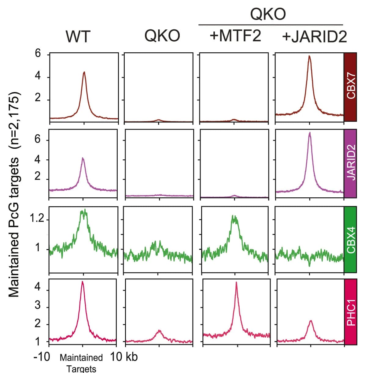 Open access visualization of Line Plot, Average Plot, ChIP-Rx, ChIP-seq, Antibodies
