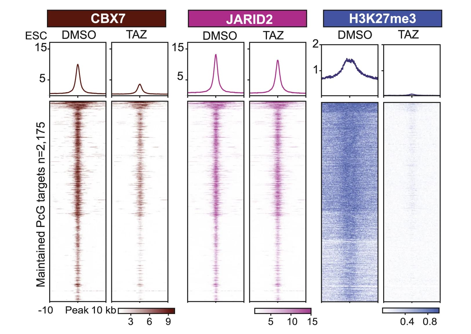 Open access visualization of Heatmap, Line Plot, ChIP-Rx, Antibodies, Polycomb Targets