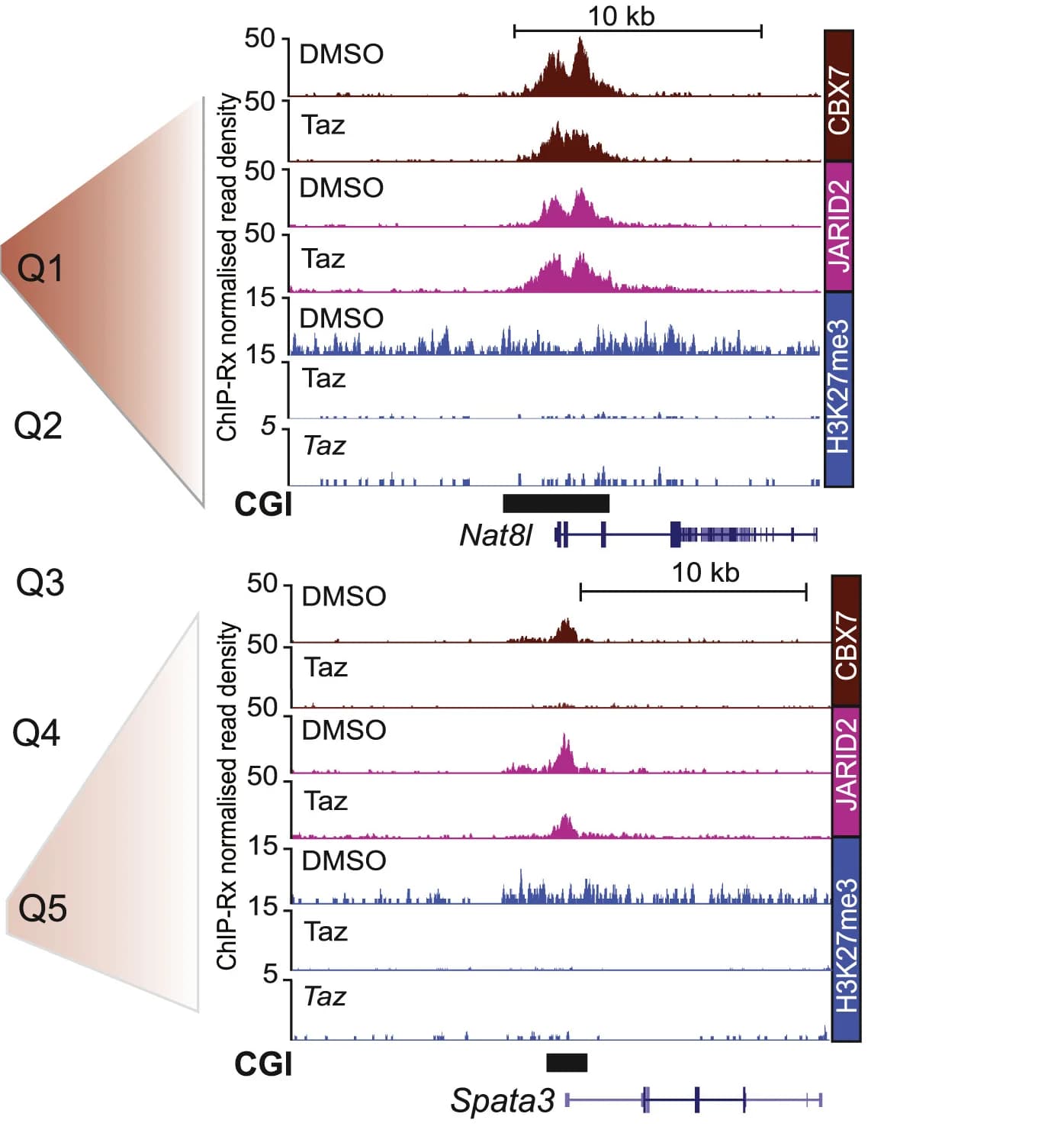 Open access visualization of Line Plot, Density Plot, Genome Browser Tracks, Genes, ChIP-Rx