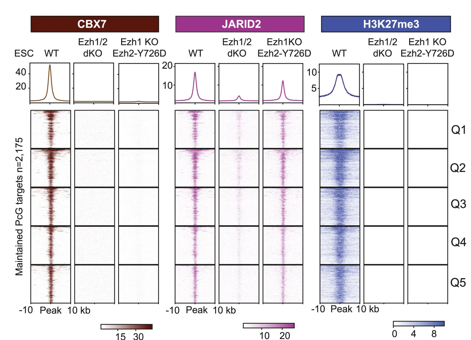 Open access visualization of Line Plot, Heatmap, ChIP-seq, ChIP-Rx, Antibodies