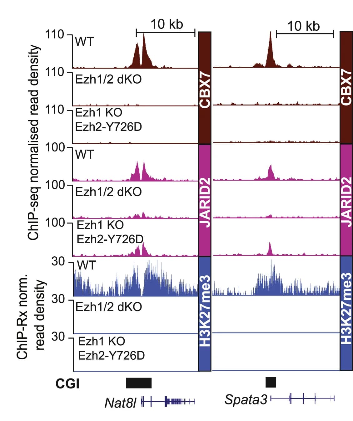 Open access visualization of Line Plot, Density Plot, Genome Browser Tracks, Antibodies, Ezh1/2-dKO