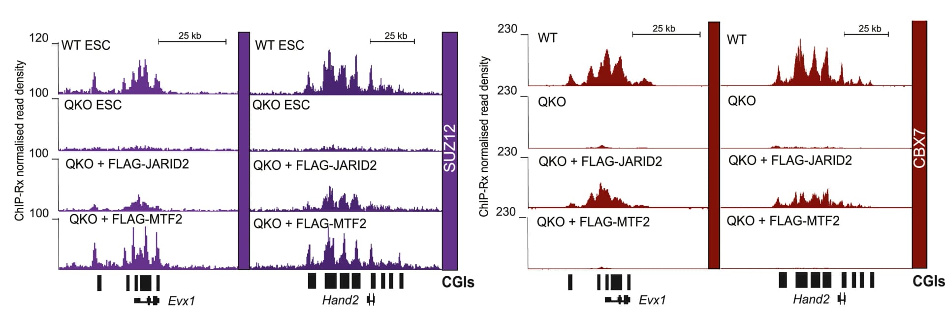 Open access visualization of Line Plot, Bar Plot, Genome Browser Tracks, Antibodies, Cell Lines