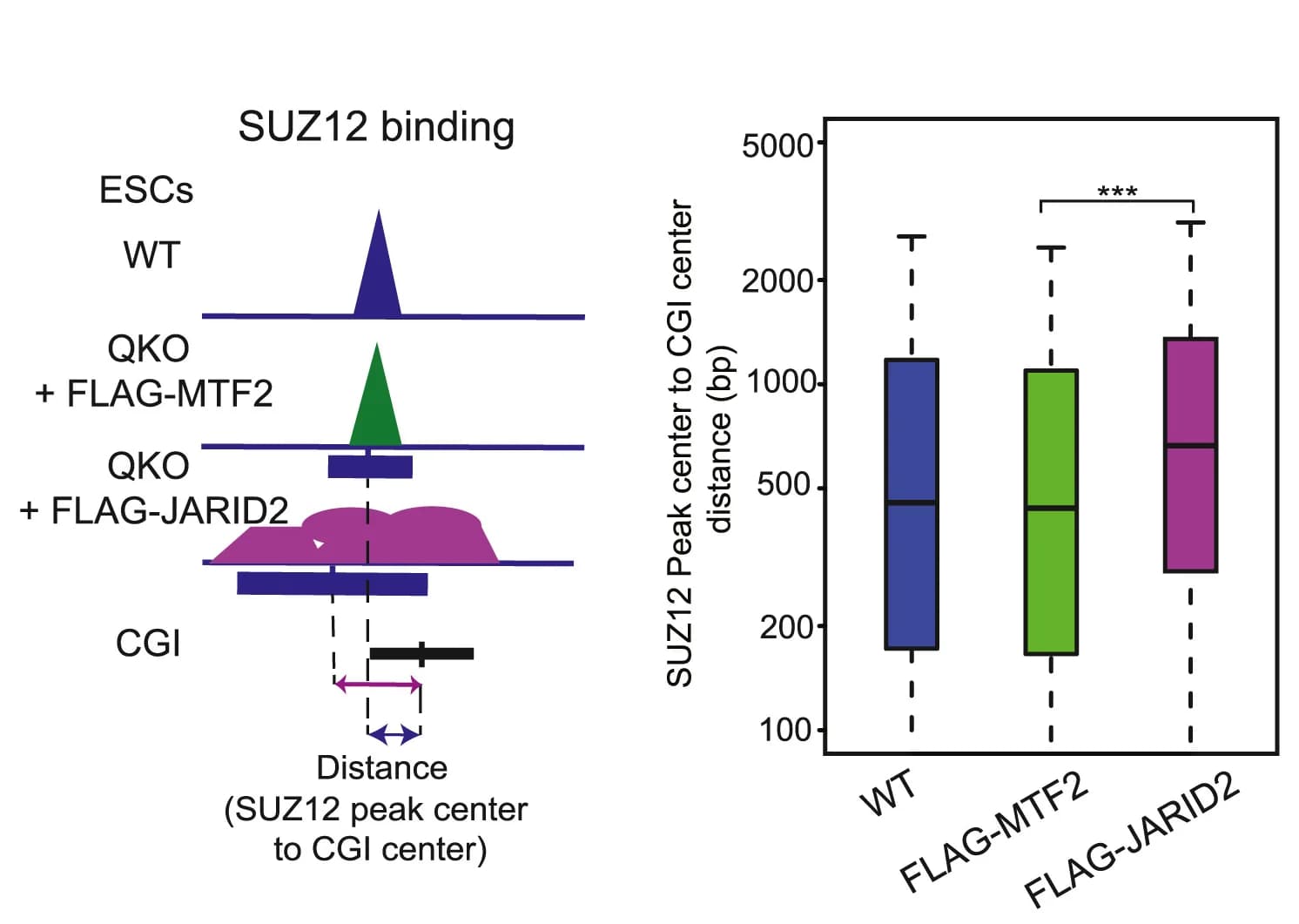 Open access visualization of Box Plot, Boxplot, SUZ12, Peaks, WT