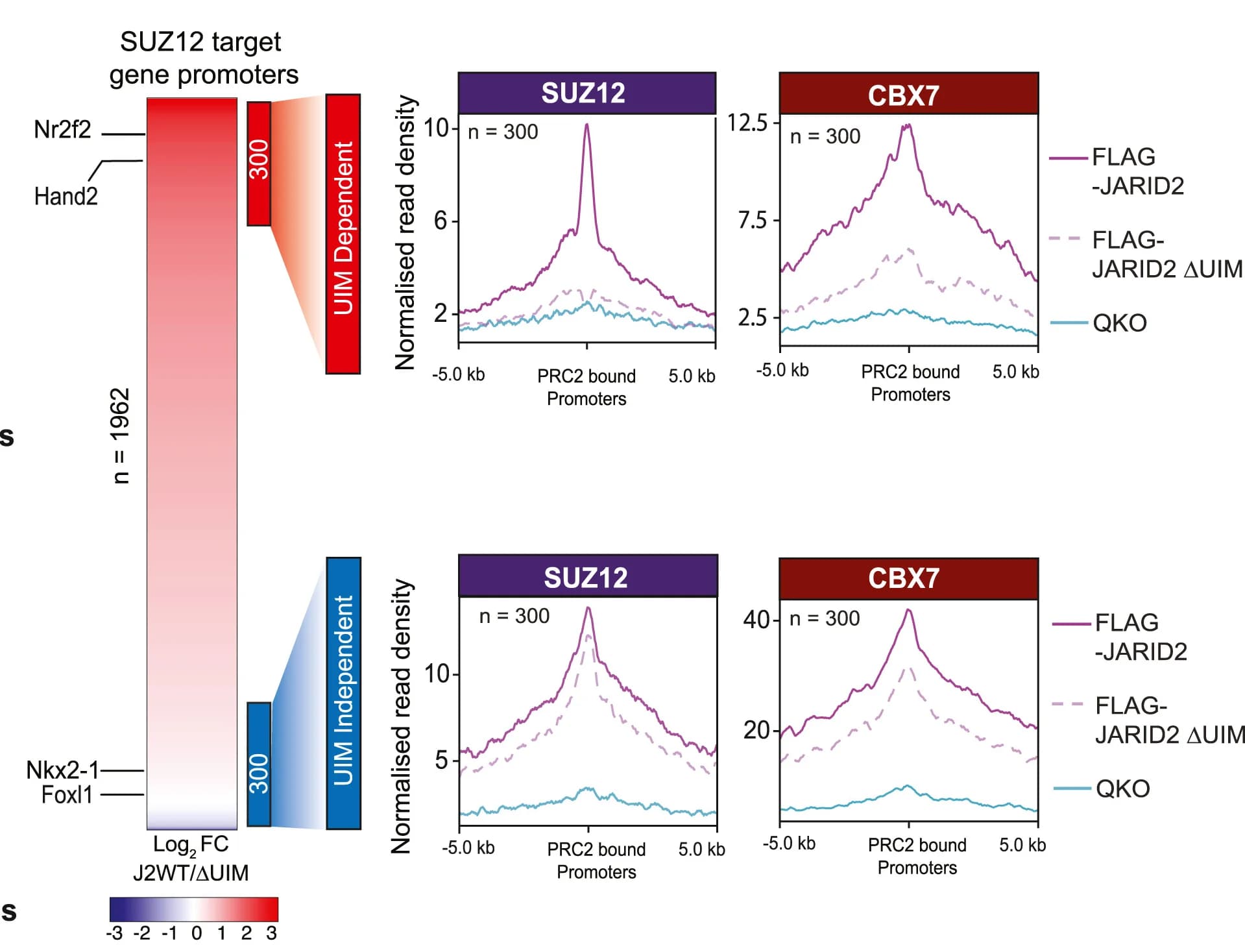 Open access visualization of Line Plot, Heatmap, SUZ12 Binding, PRC2, Promoters