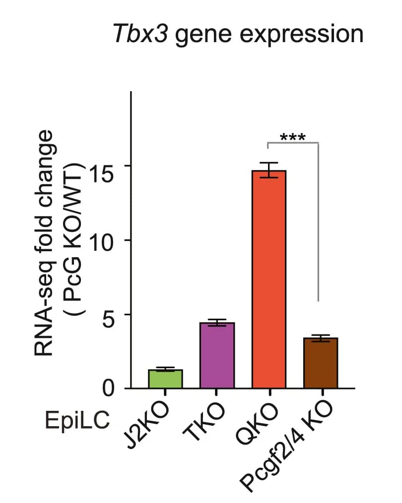 Open access visualization of Bar Plot, Error Bars, Bar Plots, Tbx3 expression, EpiLCs