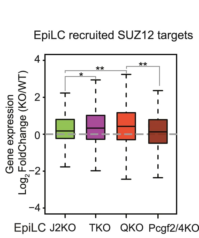 Open access visualization of Box Plot, Boxplots, RNA-seq, Log2-fold change, EpiLCs