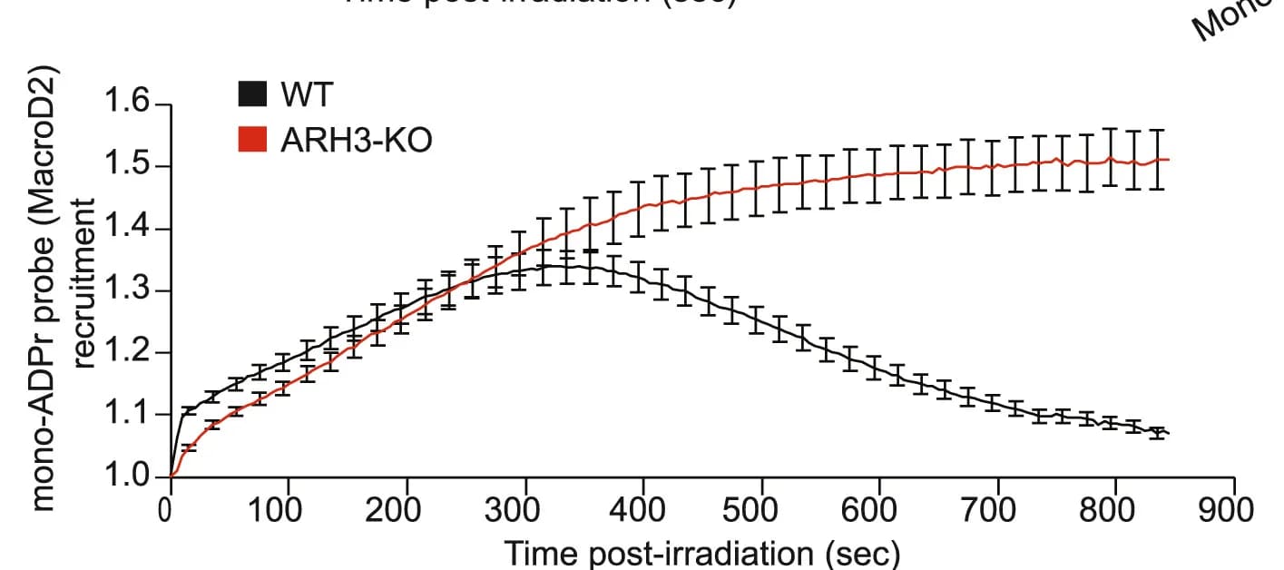Open access visualization of Line Plot, Error Bars, mono-ADPr Probe, Confocal Images