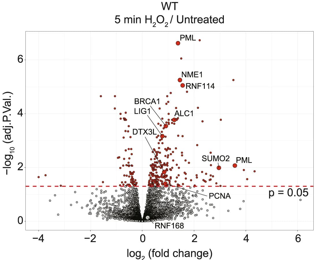 Open access visualization of Volcano Plot, Chromatin Fraction, U2OS Cells, Volcano Plots, Proteins