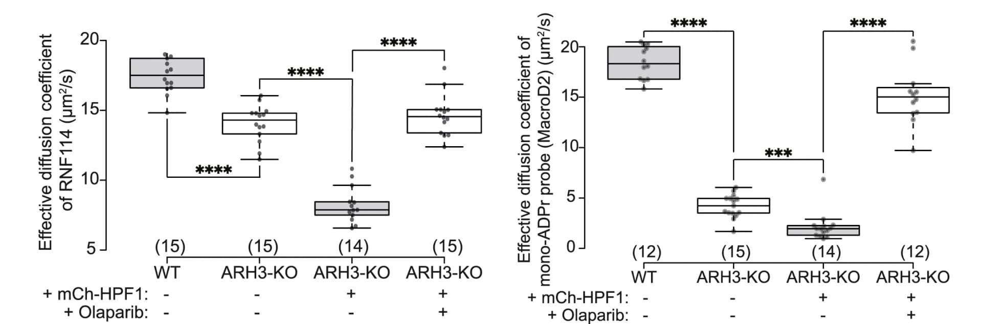 Open access visualization of Box Plot, Scatter Plot, Diffusion Coefficient, FCS, GFP-RNF114
