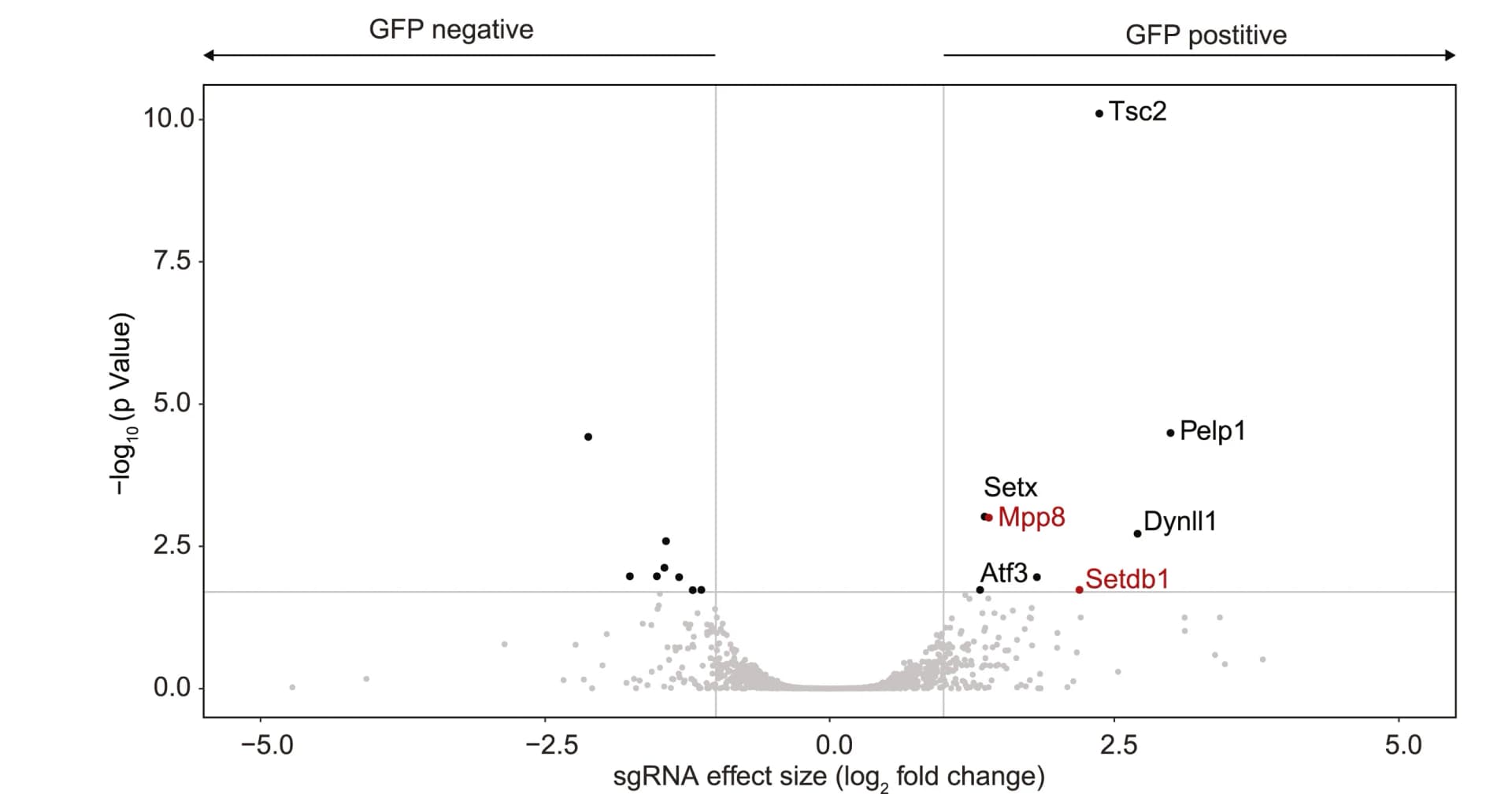 Open access visualization of Volcano Plot, Scatter Plot, sgRNAs, GFP-positive, GFP-negative