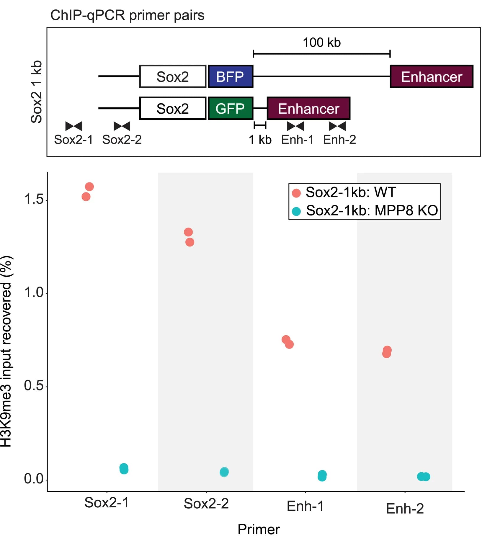 Open access visualization of Scatter Plot, Illustration, ChIP-qPCR, H3K9me3, Sox2-1kb Reporter
