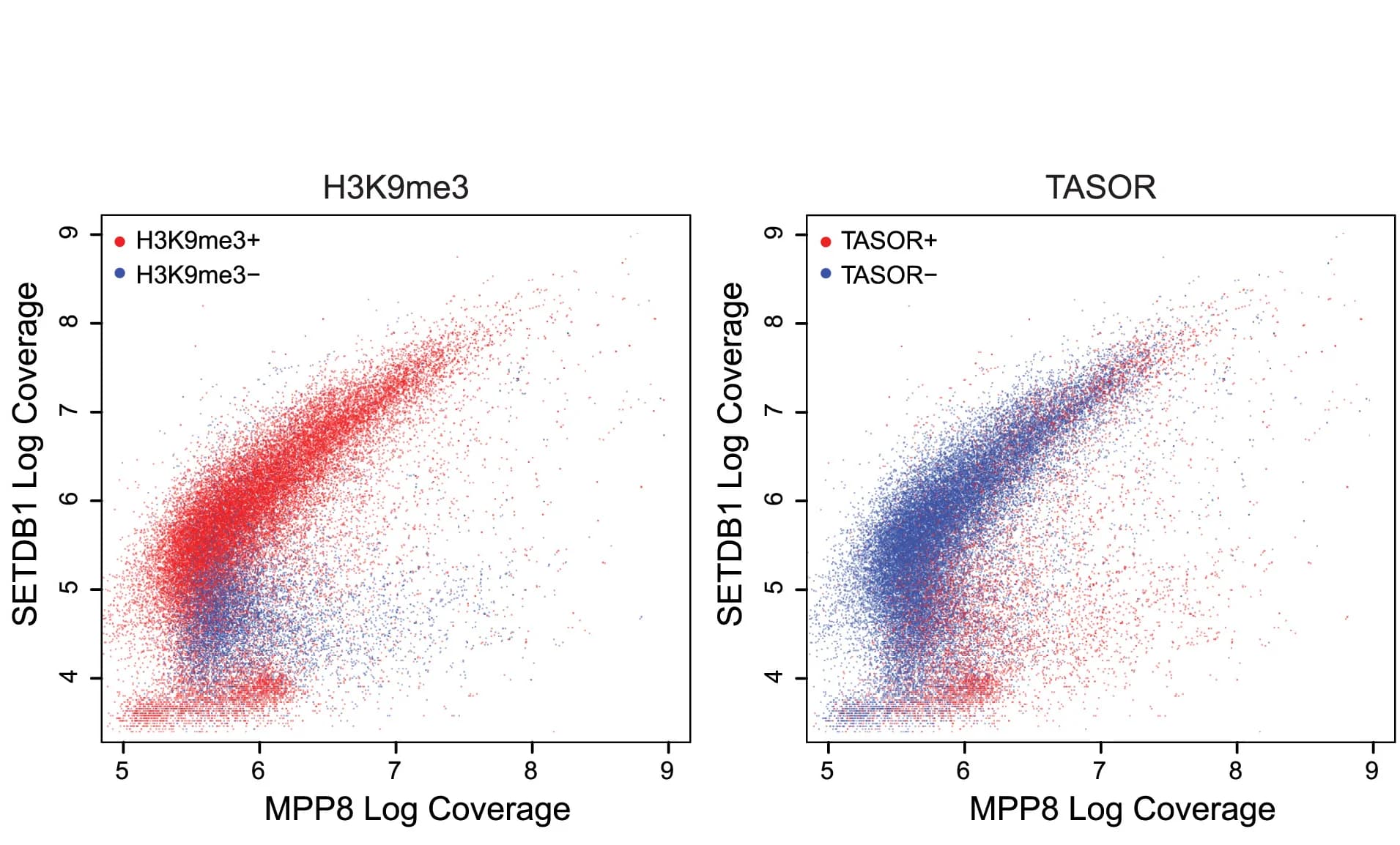 Open access visualization of Scatter Plot, Scatterplots, MPP8, TASOR, ChIP-seq