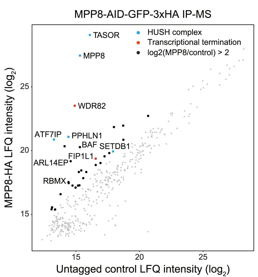 Open access visualization of Scatter Plot, Volcano Plot, LFQ Intensity, HA Immunoprecipitation, Mass-Spectrometry