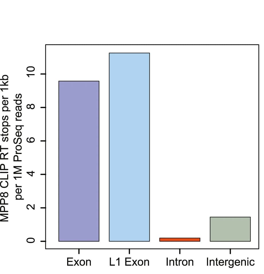 Open access visualization of Bar Plot, MPP8 irCLIP-seq, Genomic Features, RT Stops, PRO-seq