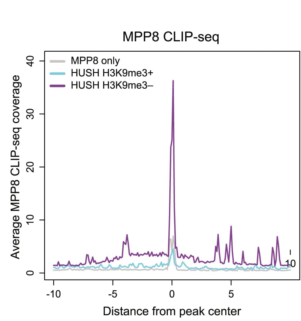 Open access visualization of Line Plot, MPP8 CLIP-seq, Normalized Read Count, HUSH ChIP Peaks, MPP8-only ChIP Peaks