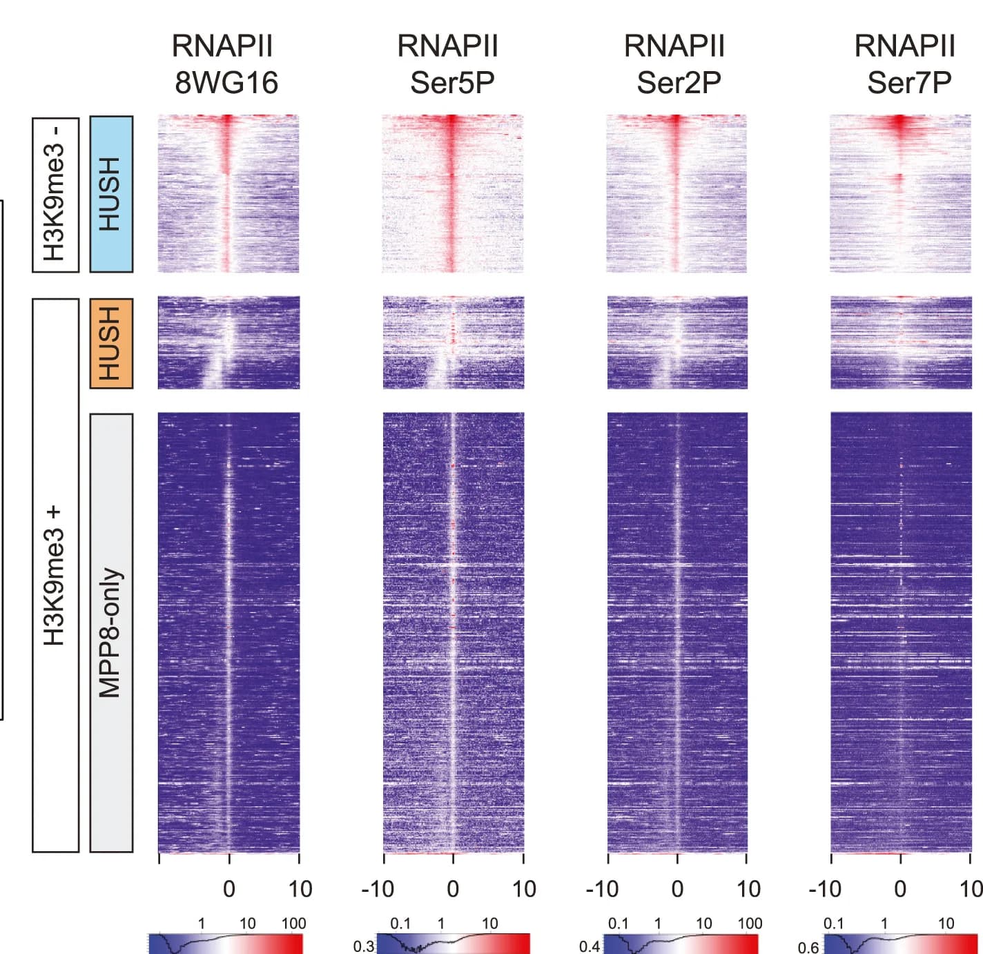 Open access visualization of Heatmap, ChIP-seq, RNA Polymerase II, Antibodies, C-Terminal Domain Modifications