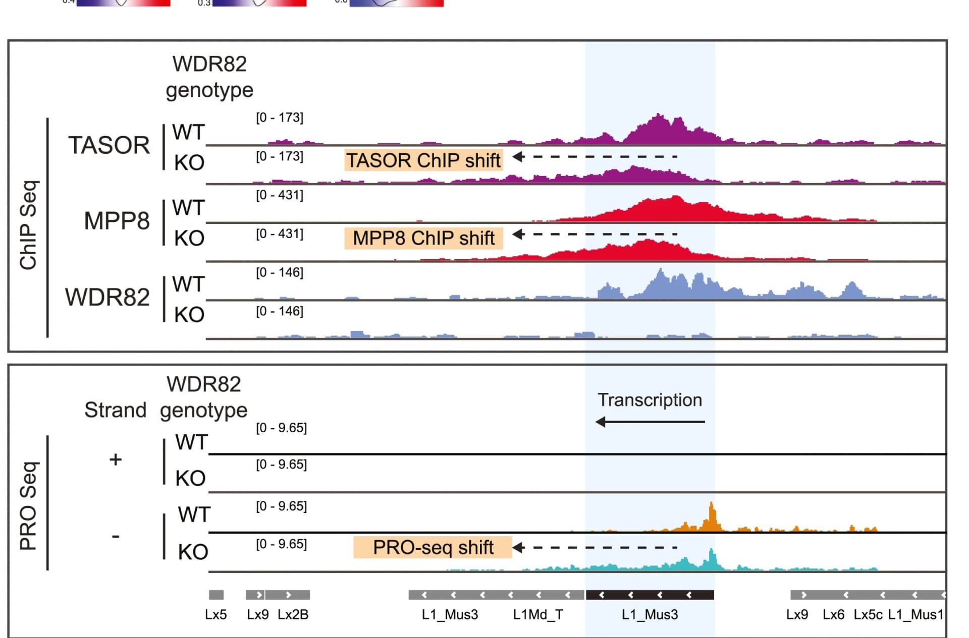 Open access visualization of Line Plot, Density Plot, Browser Tracks, TASOR, MPP8