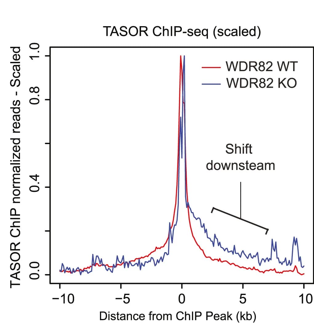 Open access visualization of Line Plot, Aggregate Plot, TASOR, ChIP-seq, HUSH