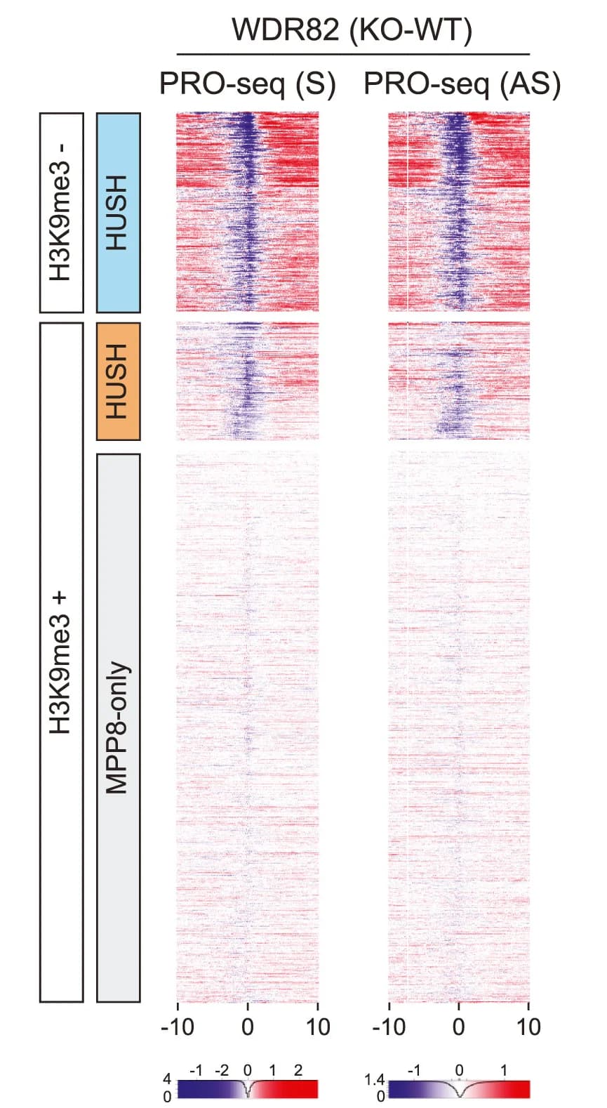 Open access visualization of Heatmap, Heatmaps, PRO-seq, WDR82 KO, WT