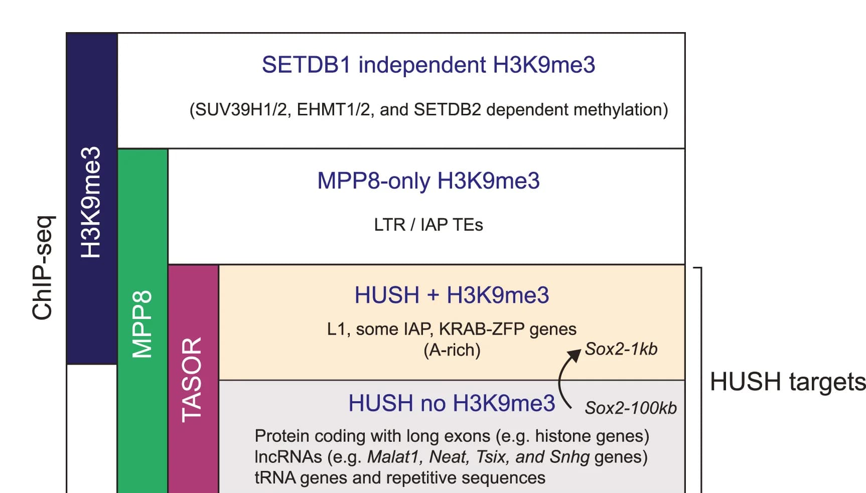 Open access visualization of Illustration, H3K9me3, HUSH, ChIP-seq, Genomic Regions