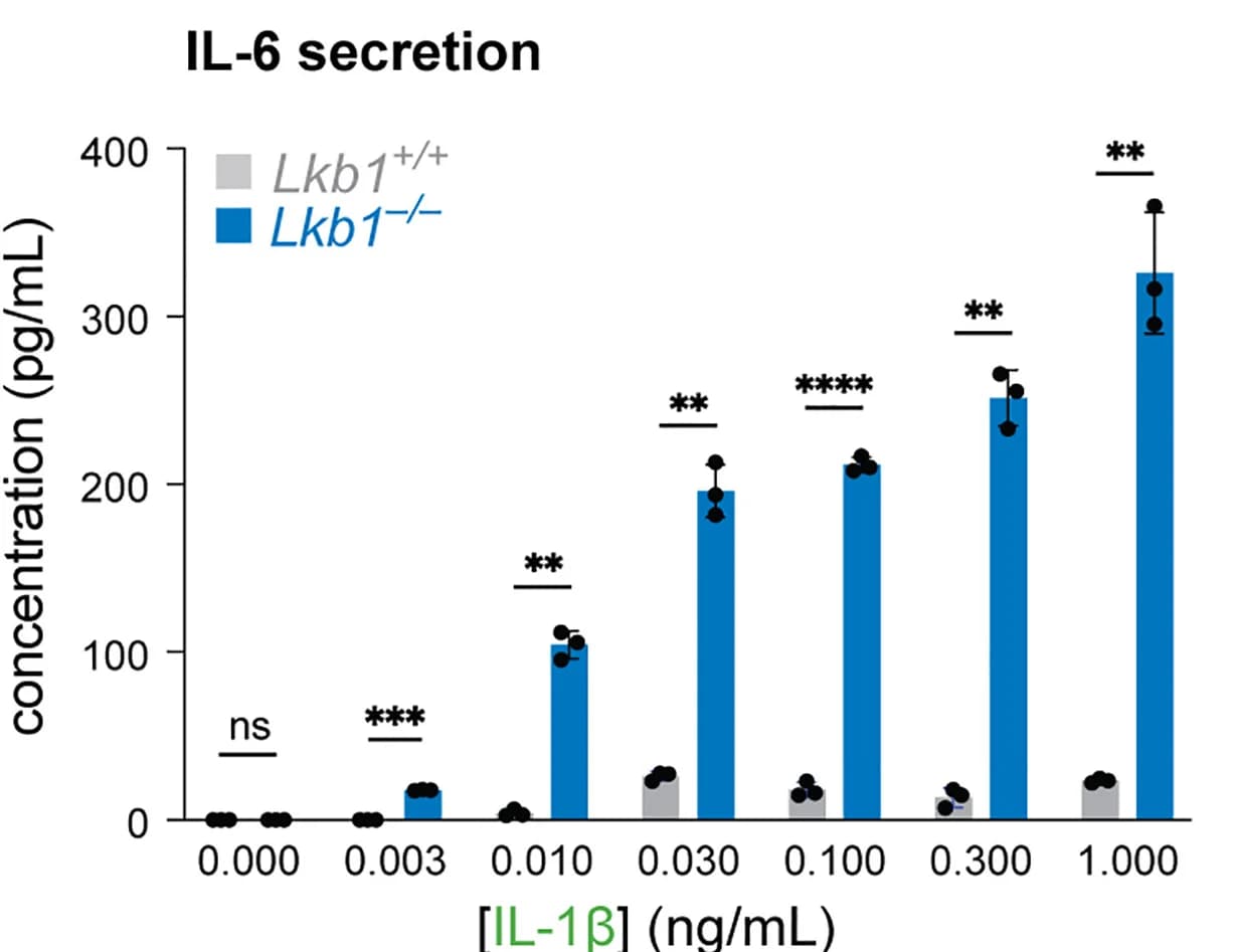 Open access visualization of Bar Plot, Error Bars, Clustered, IL-6 Production, Wild-type MEFs