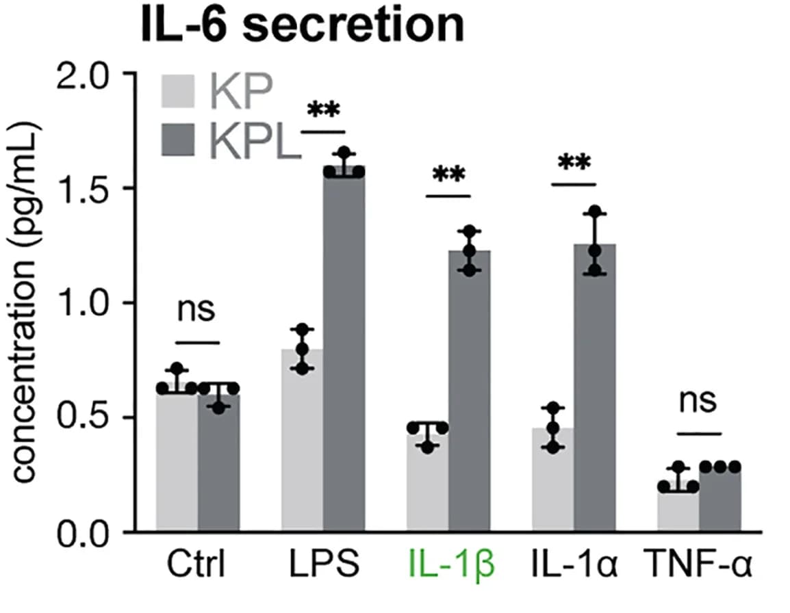 Open access visualization of Bar Plot, Error Bars, Clustered, IL-6, LIF