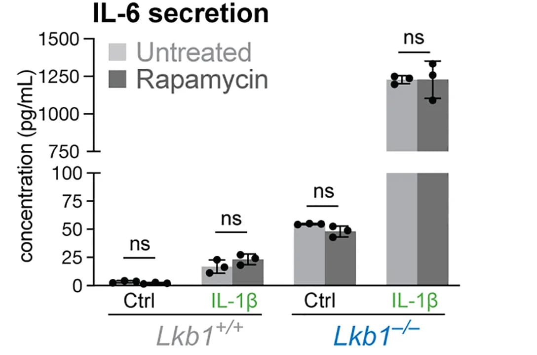 Open access visualization of Bar Plot, Error Bars, Clustered, IL-6, Wild-type