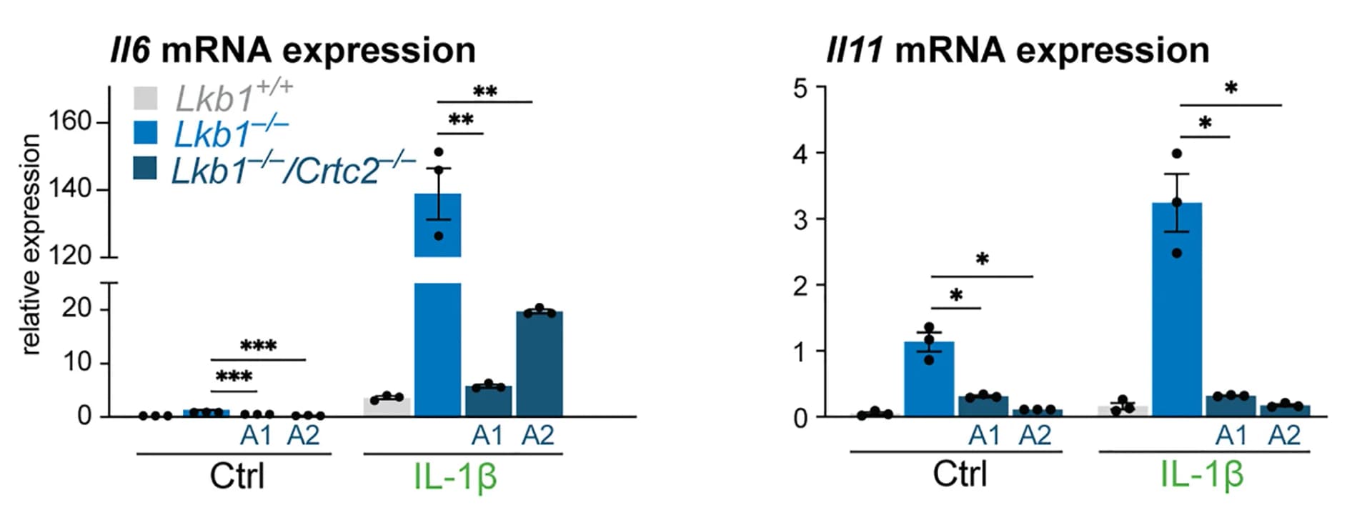 Open access visualization of Bar Plot, Error Bars, mRNA levels, Il6, Il11
