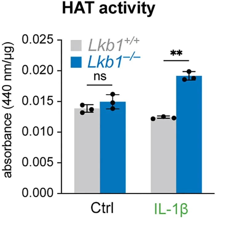Open access visualization of Bar Plot, Clustered, Error Bars, HAT activity, Nuclear Extracts