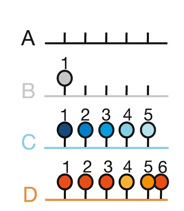 Open access visualization of Illustration, Schematic, Phosphorylation, FASP