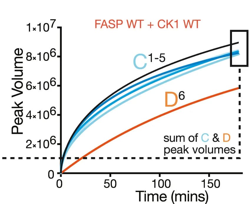 Open access visualization of Line Plot, Peak Volume, Phosphoserines, Kinetics, FASP