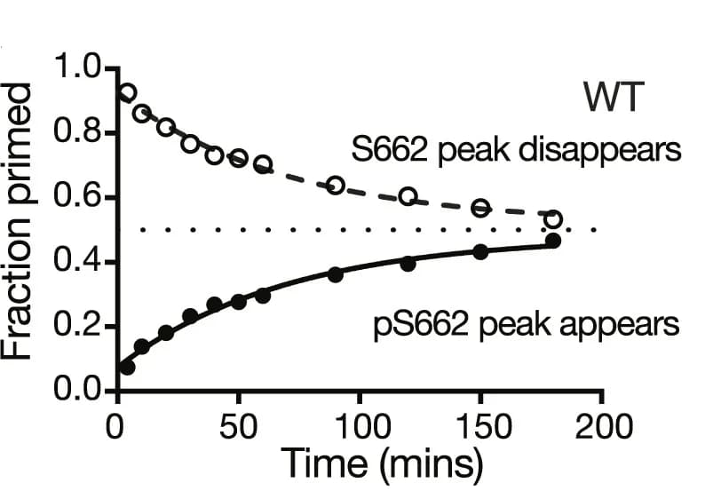 Open access visualization of Line Plot, NMR Kinase Assay, FASP, Mutant Peptides, Reaction Kinetics