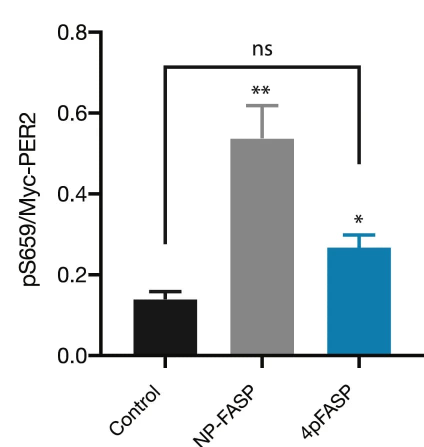 Open access visualization of Bar Plot, Error Bars, Phosphorylation, FASP, Priming Site