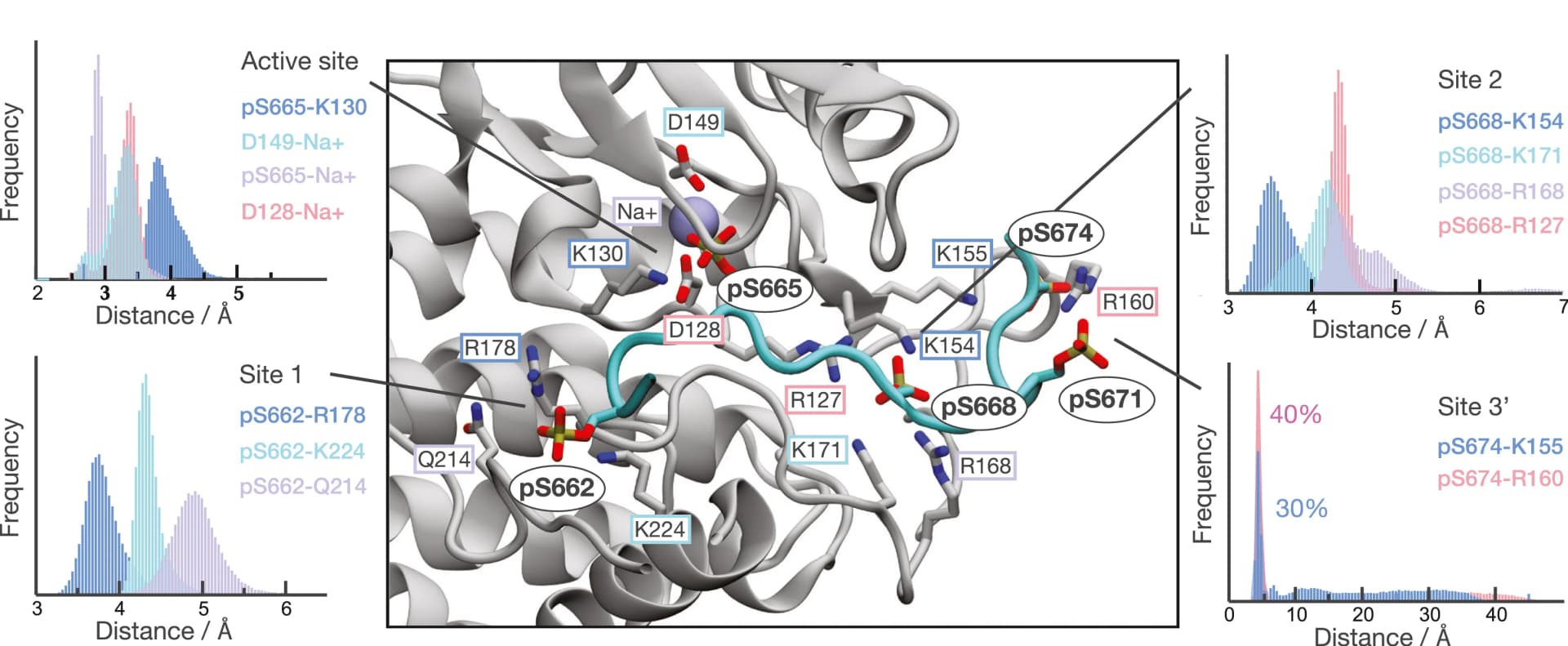 Open access visualization of Illustration, Histogram, 3D Plot, Molecular Dynamics Simulations, 5pFASP Product