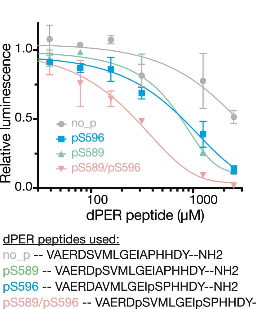 Open access visualization of Line Plot, Error Bars, ADP-Glo Kinase Assay, CK1, Human PER2 PAS-Degron Substrate