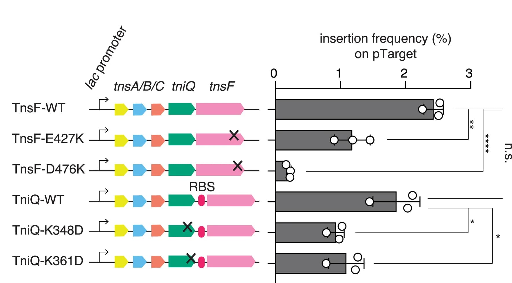 Open access visualization of Bar Plot, Error Bars, Illustration, ddPCR, Insertion Frequency