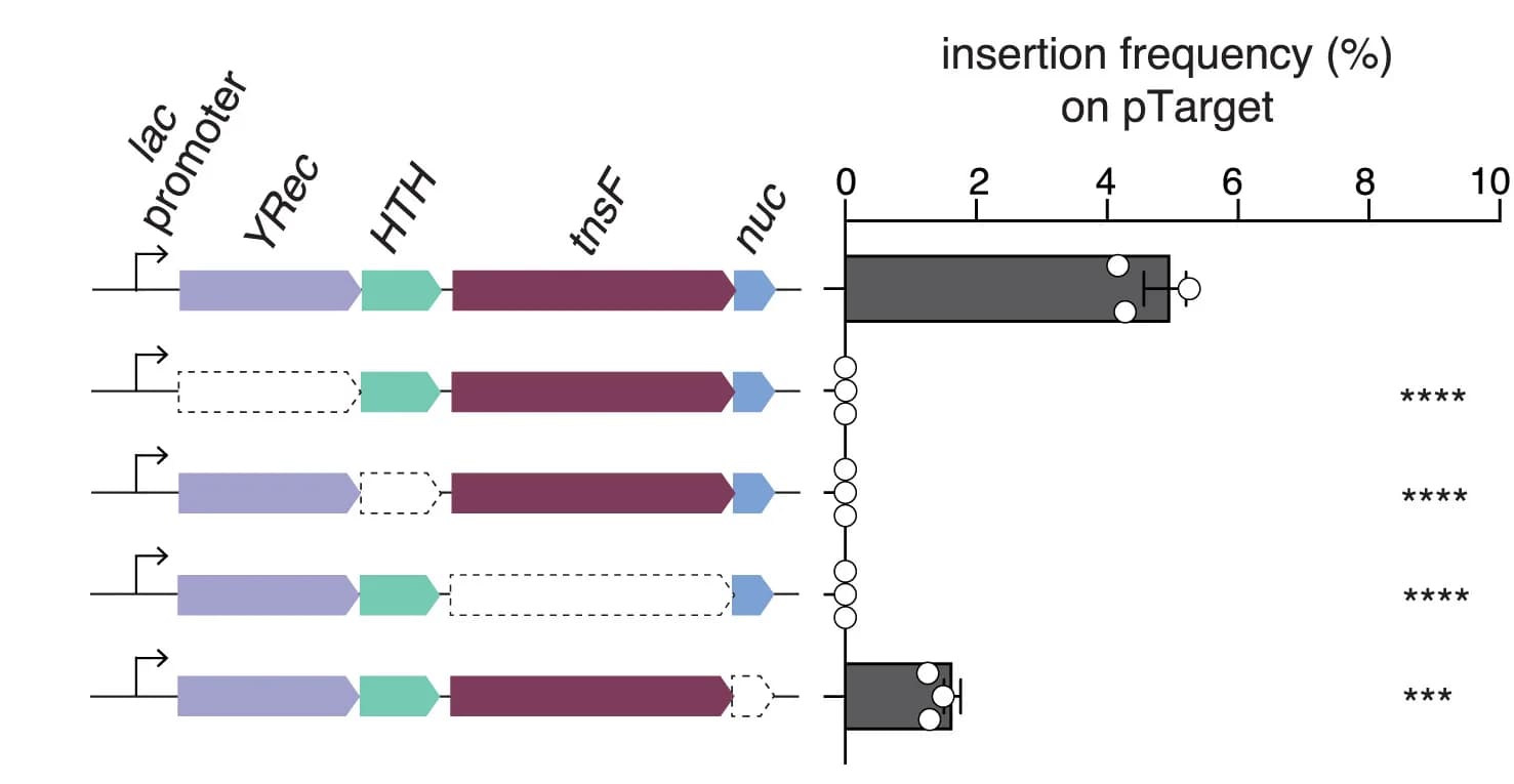 Open access visualization of Bar Plot, Error Bars, Illustration, YRec, HTH