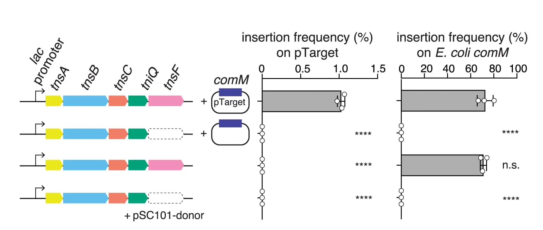 Open access visualization of Bar Plot, Error Bars, Illustration, ddPCR, Insertion Frequency