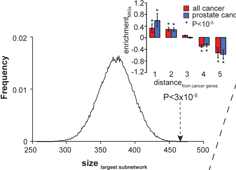 Open access visualization of Line Plot, Bar Plot, Error Bars, Protein-Protein Interaction Network, MIGs