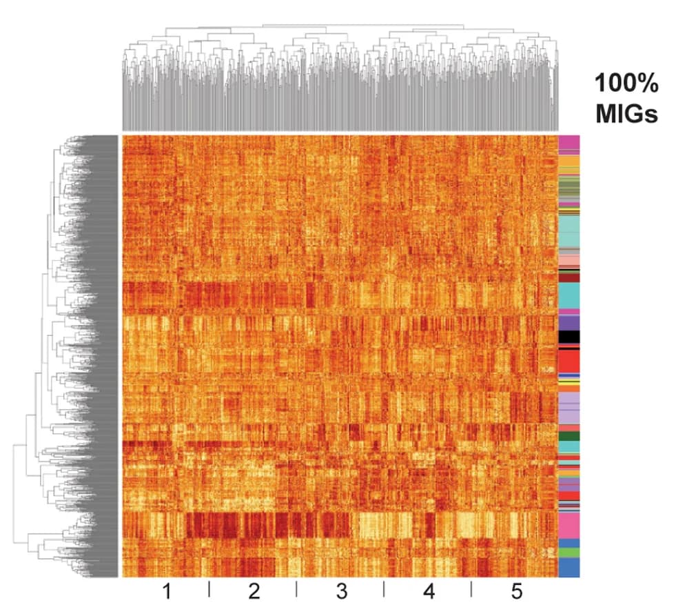 Open access visualization of Heatmap, Clustered, Gene Expression Data, Cancer Types, PCAWG