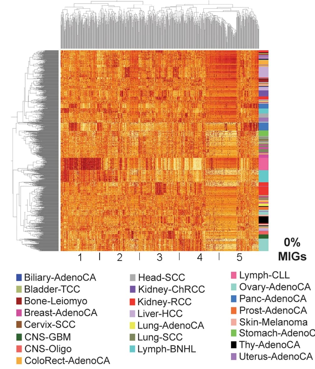 Open access visualization of Heatmap, Clustered, Gene Expression Data, Cancer Types, PCAWG