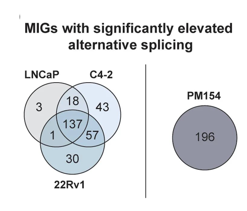 Open access visualization of Venn Diagram, MIGs, Alternative Splicing, LNCaP Cell Line, C4-2 Cell Line