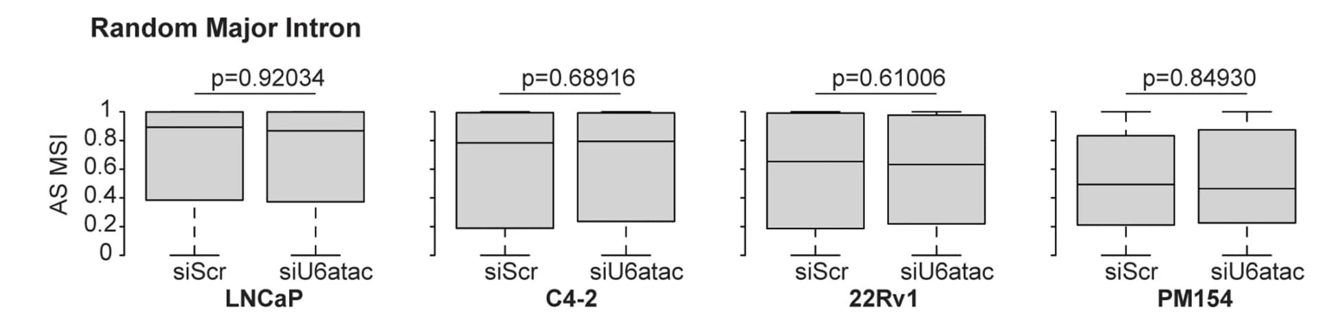 Open access visualization of Box Plot, Mis-splicing Index, Alternative Splicing, Major Introns, siScrambled