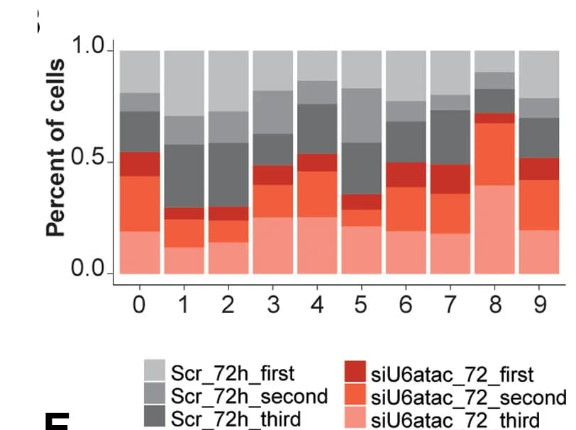 Open access visualization of Stacked Bar Plot, Histogram, LNCaP Cell Line, Samples, Clusters